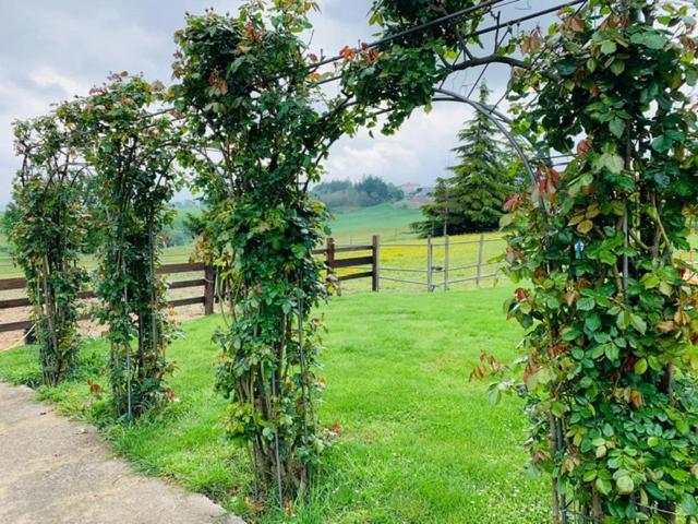 Agriturismo Cascina Smeralda Villa Pontestura Bagian luar foto
